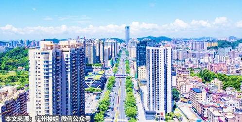 甬城楼市爆料事件视频